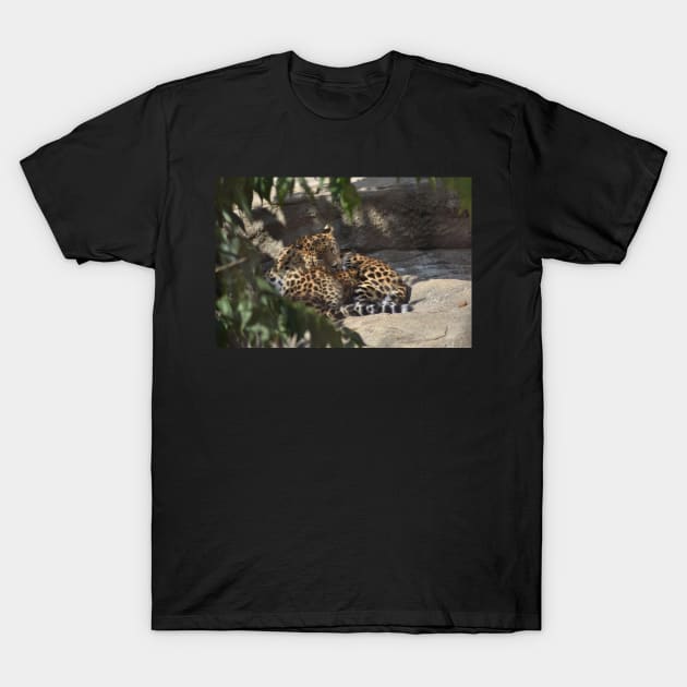 Leopard and Cub T-Shirt by MarieDarcy